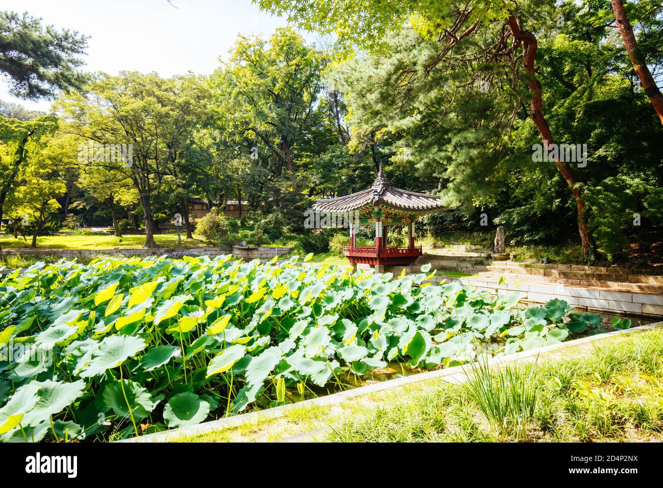 Changdeokgung Palace Secret Garden in South Korea Stock Photo