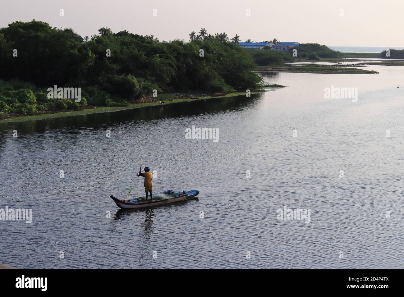 India tamil nadu chennai fish hi-res stock photography and images - Alamy
