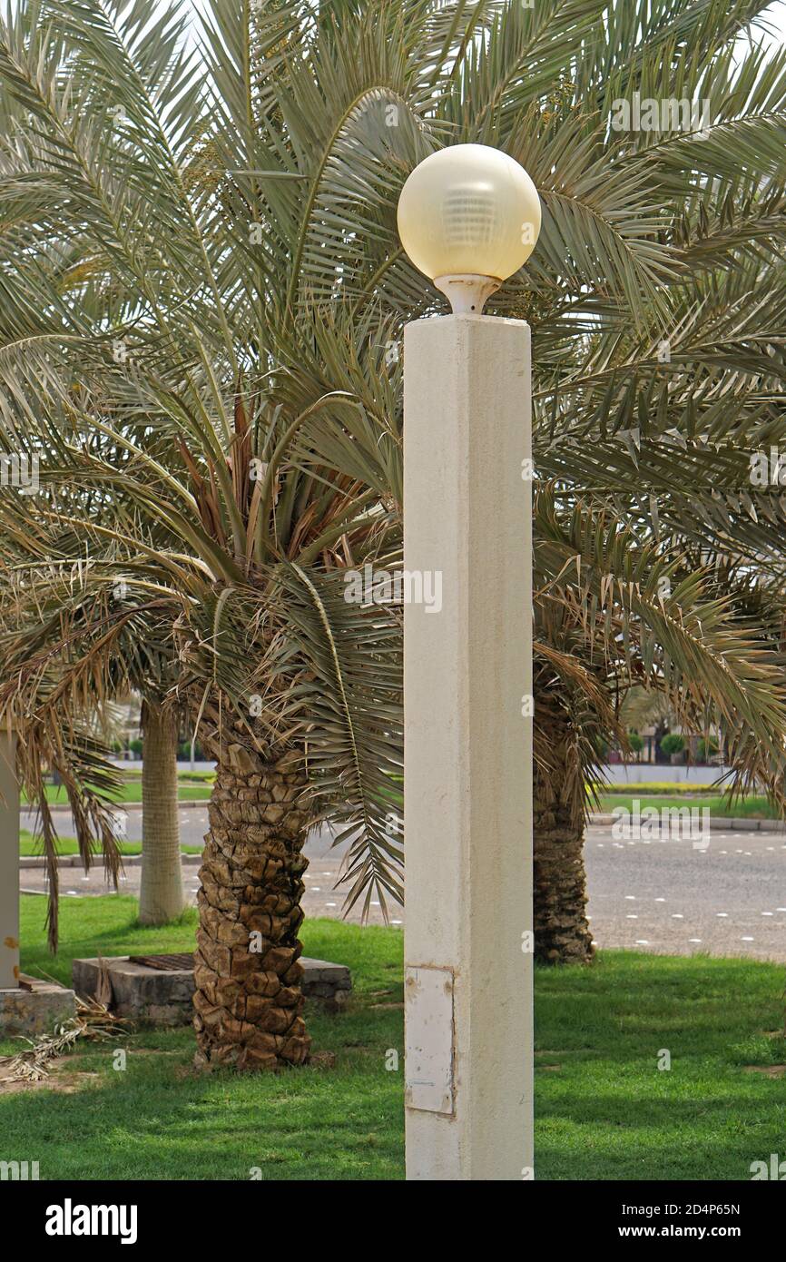 Lamp pole and palm trees in Kuwait park Stock Photo Alamy