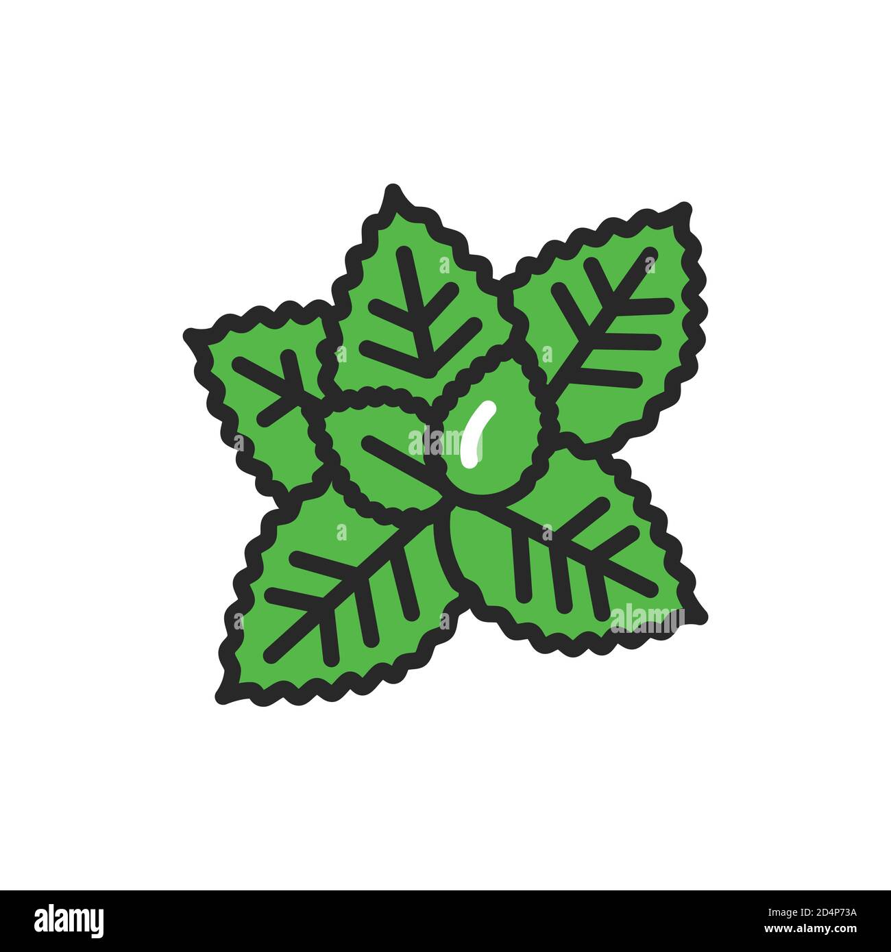 Culinary basil Stock Vector Images - Alamy