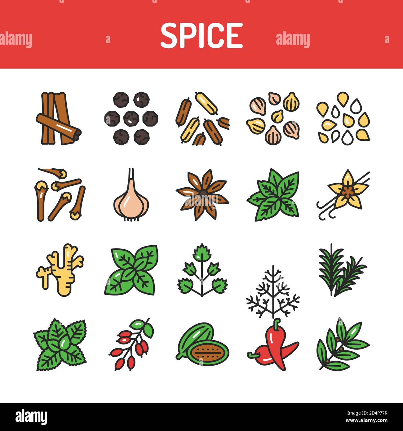 Herbs spices drawing Stock Vector Images Alamy