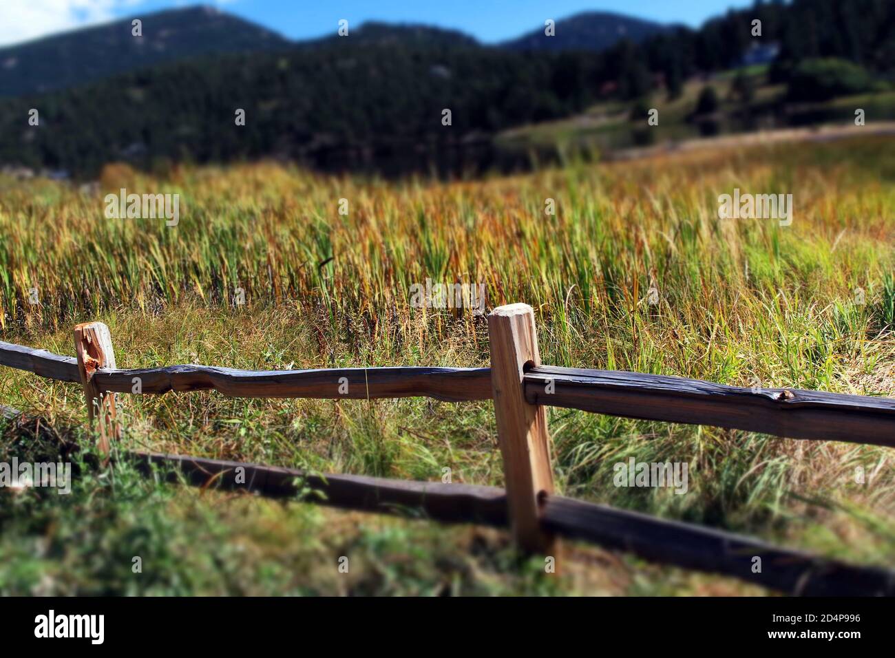 Fenced field in Colorado. Stock Photo