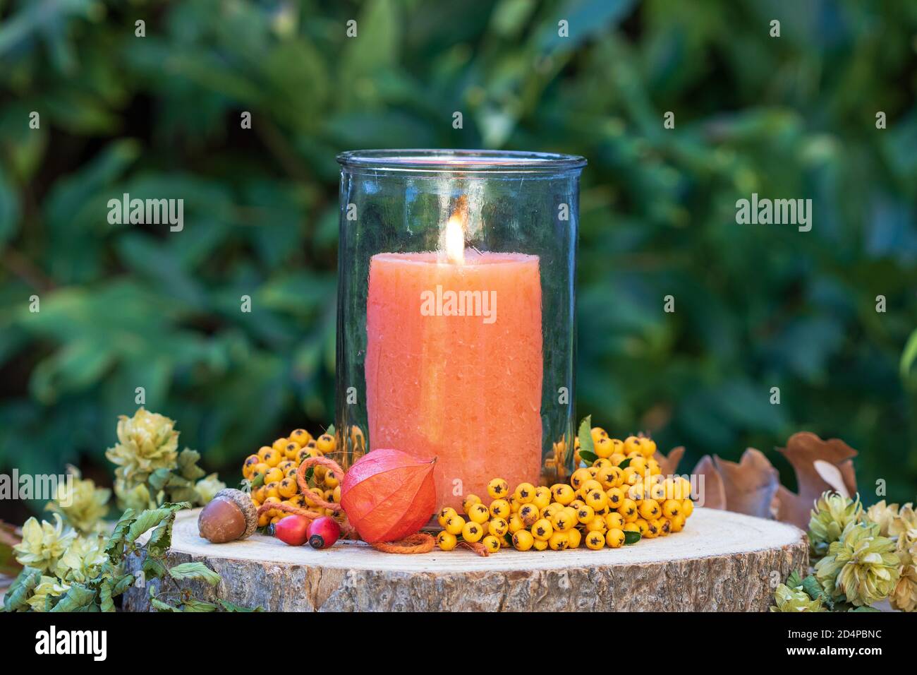 autumn decoration with orange candle, physalis and firethorn berries Stock Photo