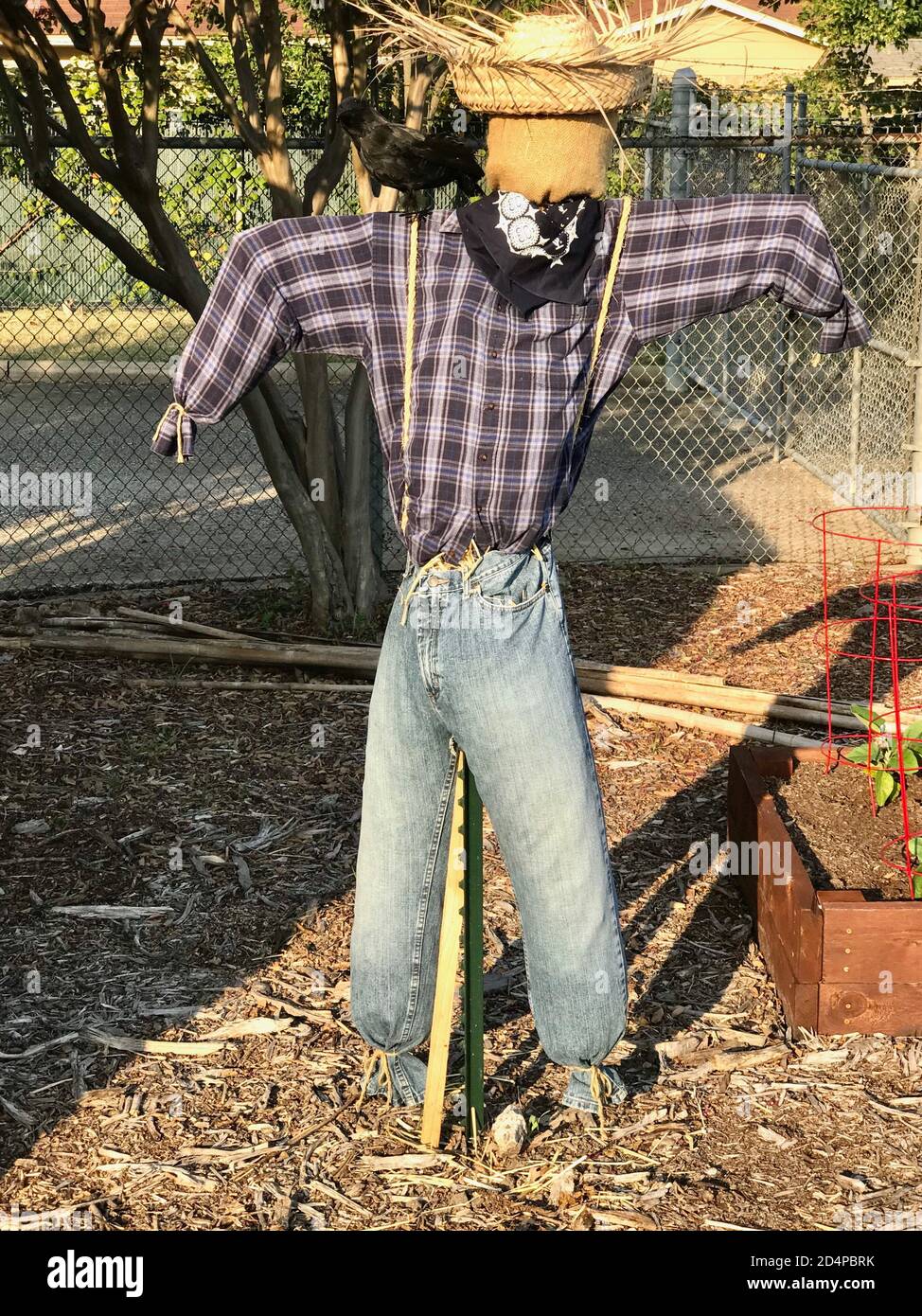 Halloween scarecrow with crow on shoulder Stock Photo