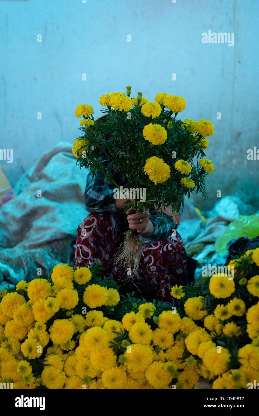 A shy woman on the market is hiding behind a bouquet of yellow flowers during Tet in Mui Ne. Stock Photo