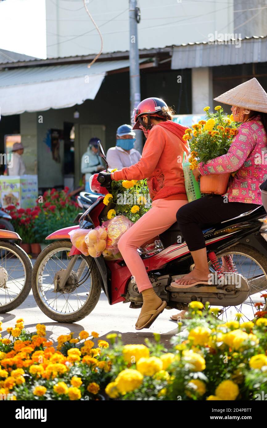 Two women are riding on motorbike with flowers during Chinese new year called Tet. Stock Photo