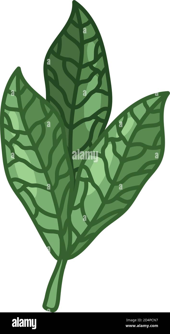 three leaves line and fill style icon design of Natural floral nature ...