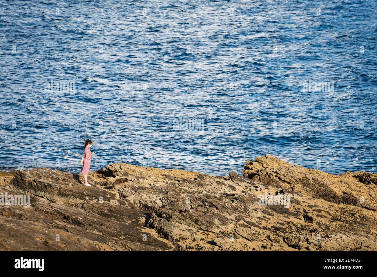 PORTONOVO, SPAIN - AUGUST 15, 2020: A young woman checks her smartphone while enjoying the sunset on the rocks in the Rias Baixas, Galicia. Stock Photo