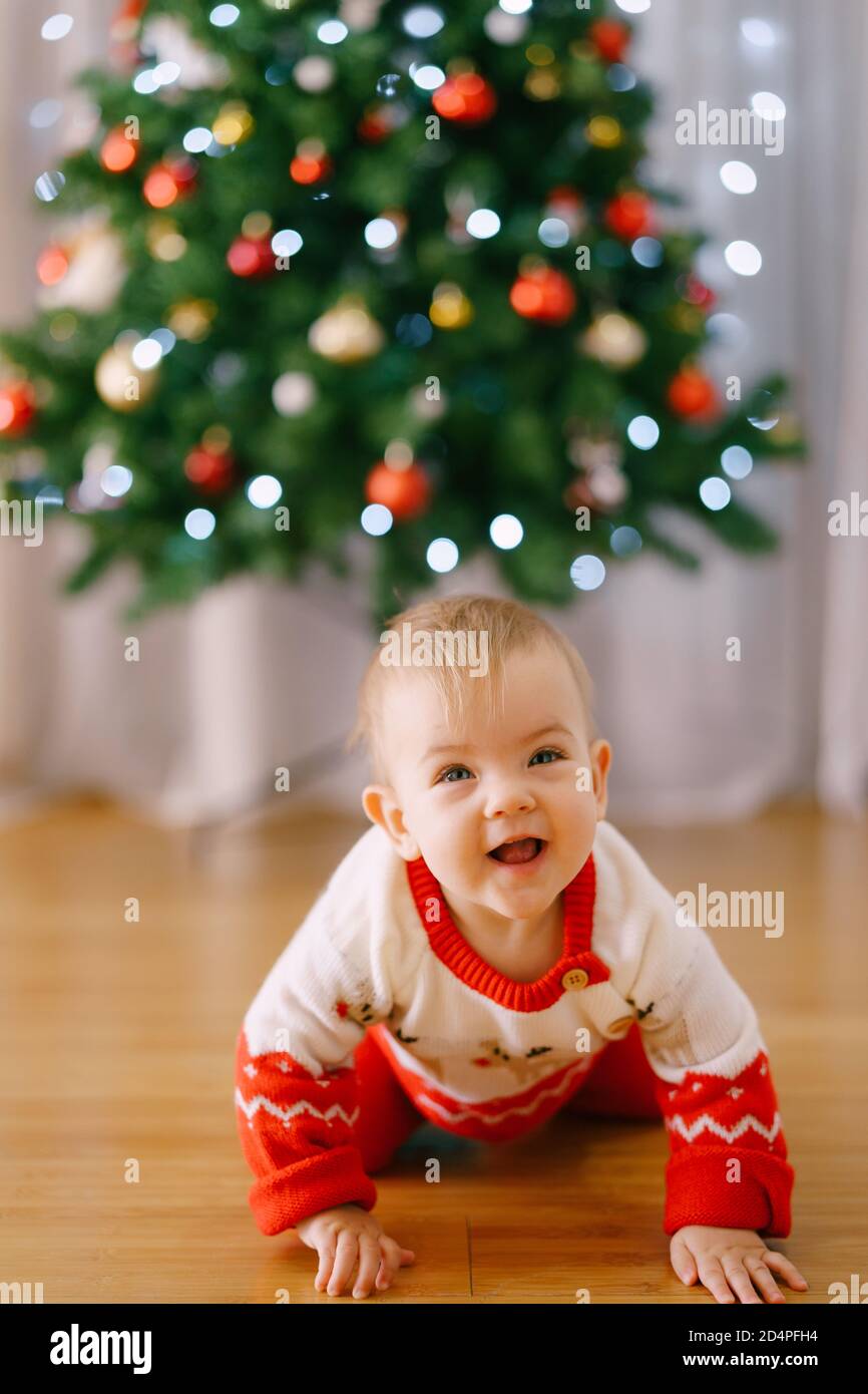 Baby girl in a Christmasthemed costume is crawling in front of a