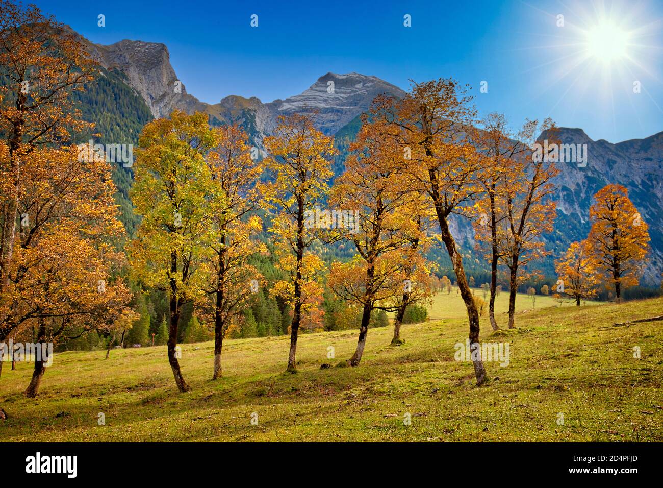 Ahornboden Austria Autumn Hi res Stock Photography And Images Alamy ahornboden-austria-autumn-hi-res-stock-photography-and-images-alamy