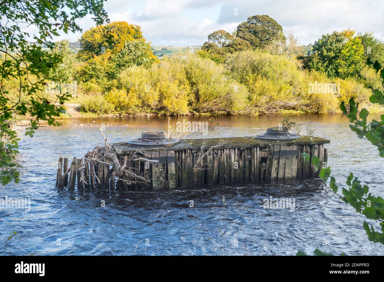 Old pier from the demolished Border Counties Railway bridge across the river Tyne to the west of Hexham in Northumberland, England, UK Stock Photo