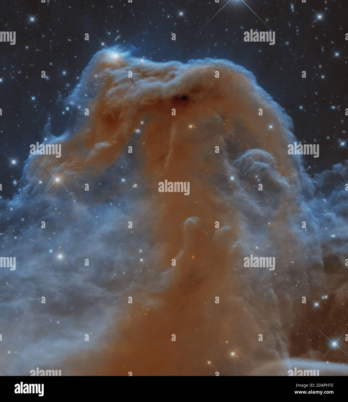 The Horsehead Nebula (Barnard 33) is a dark nebula some 1,500 light years distant in the Orion molecular cloud complex.  The object was discovered on Stock Photo