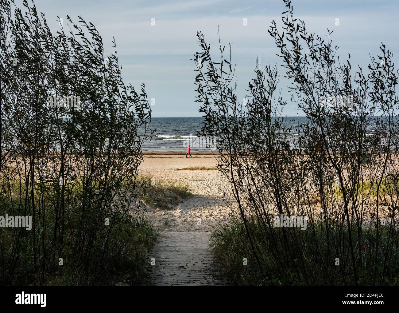 Wooden path to the Baltic sea coast in Jurmala Stock Photo - Alamy
