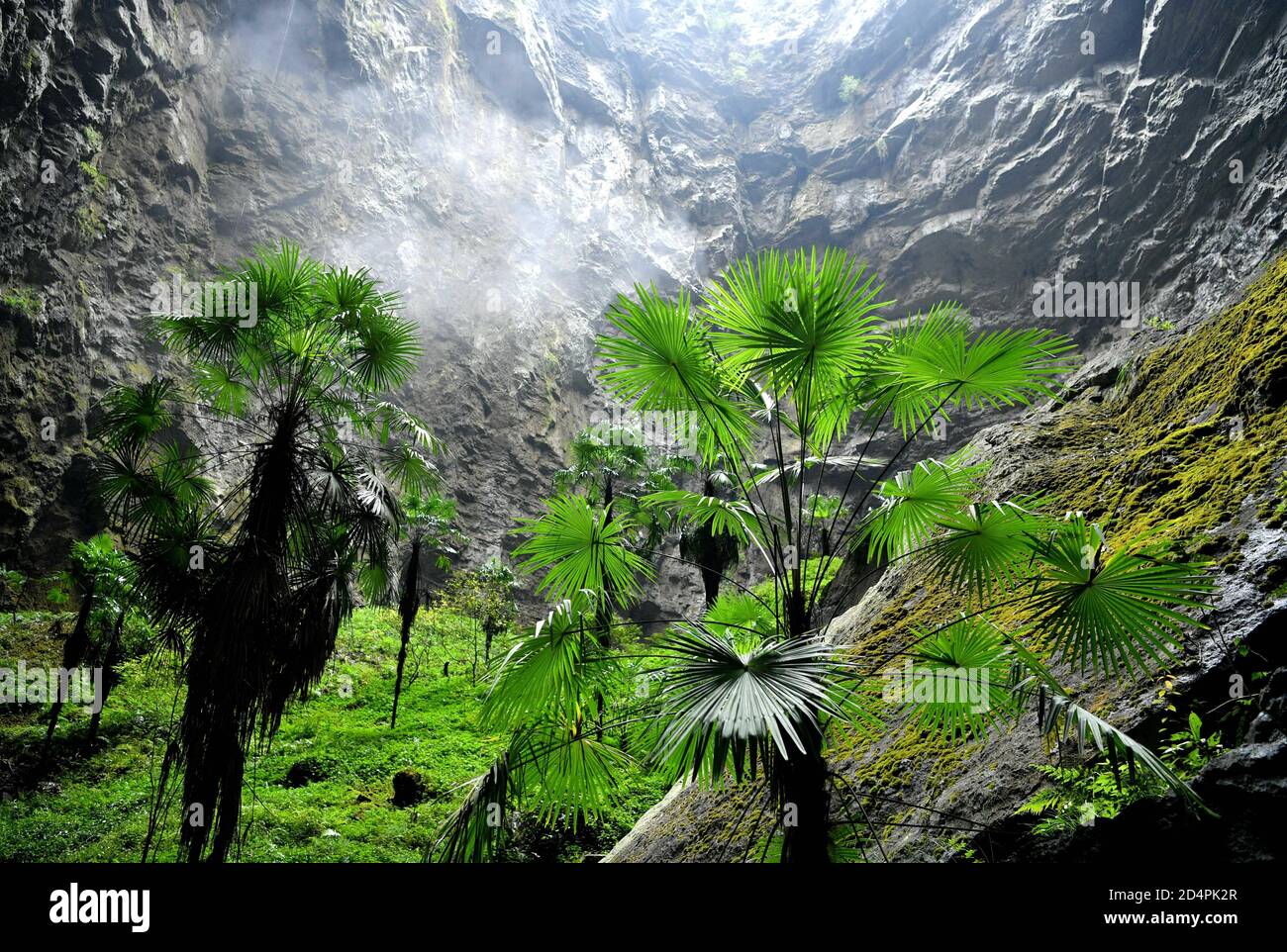 Tiankeng hi-res stock photography and images - Alamy, image size:1300x962