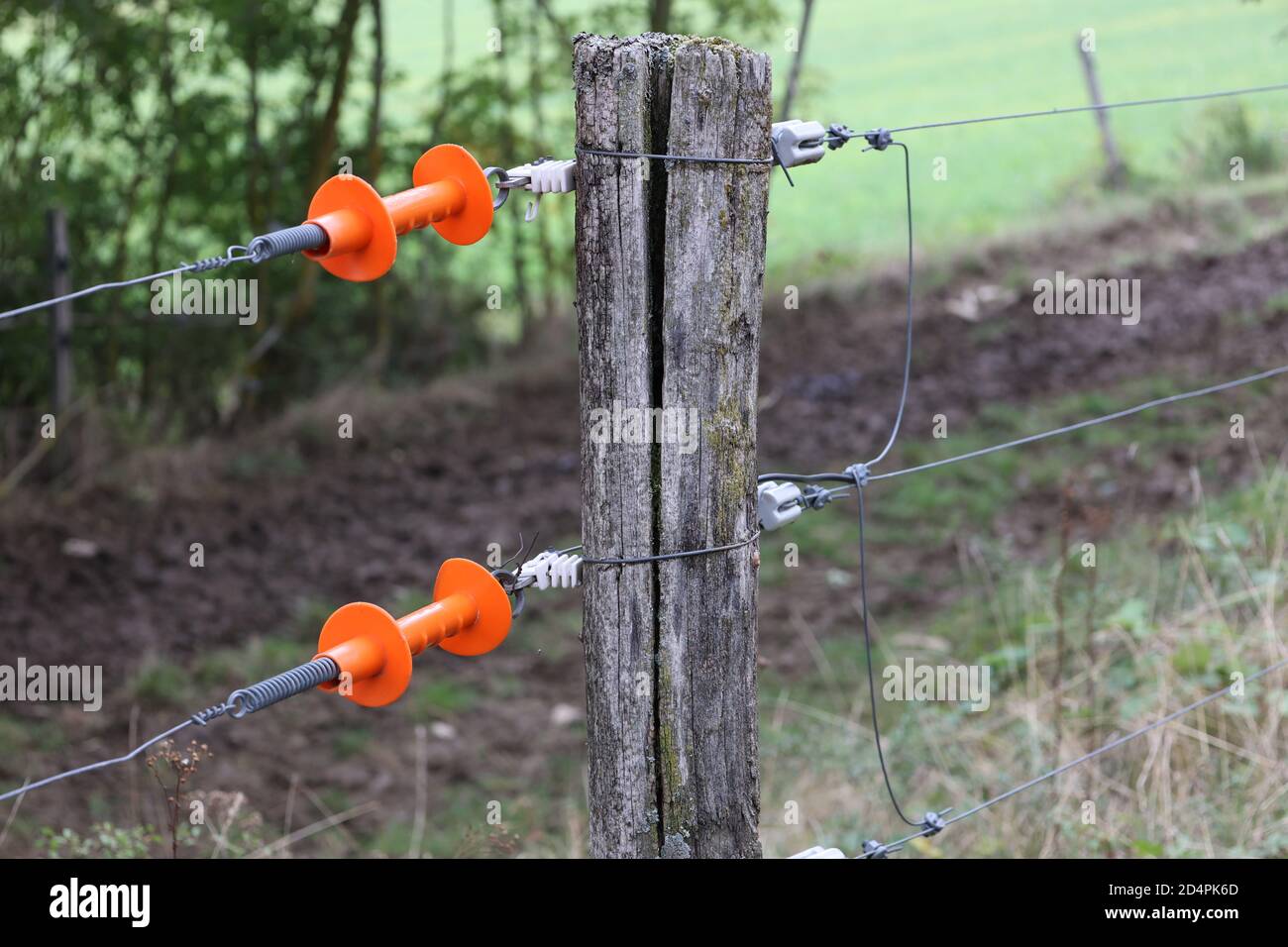 Electric fence gate protecting green grass pasture Stock Photo - Alamy