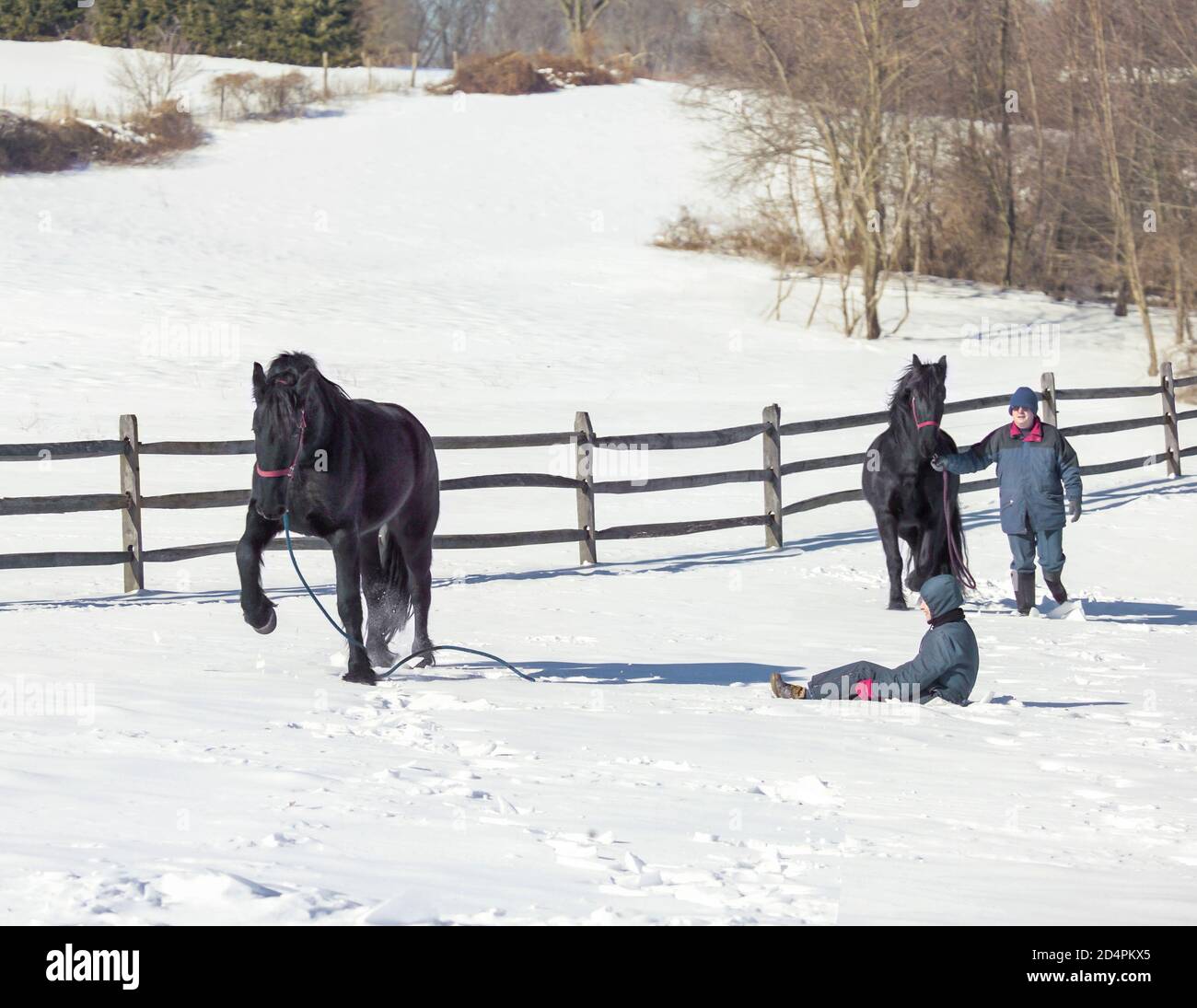 Walk away horse hires stock photography and images Alamy