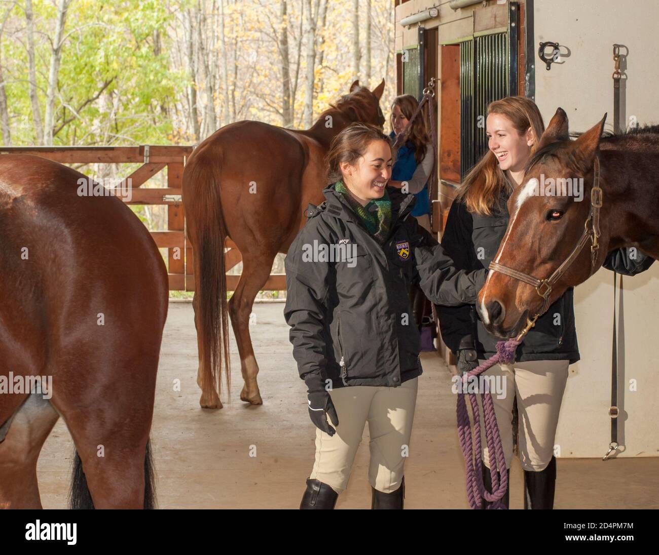 Equestrian team hires stock photography and images Alamy