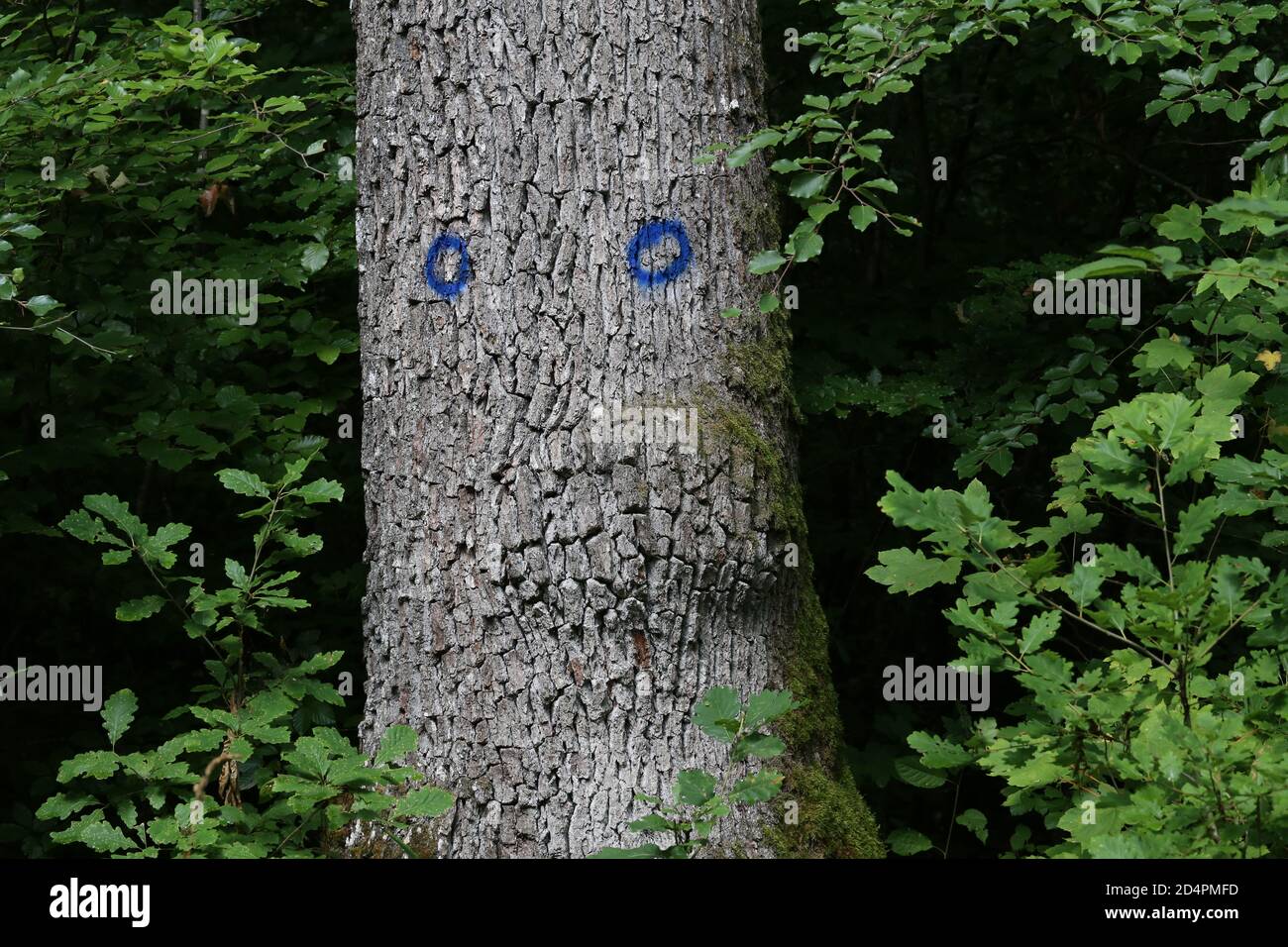 Old trunk tags hi-res stock photography and images - Alamy