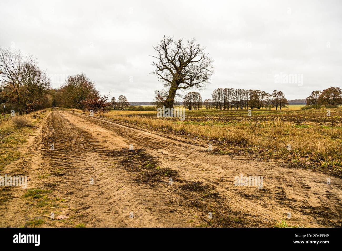 Rural Landscape near Fincken, Germany Stock Photo