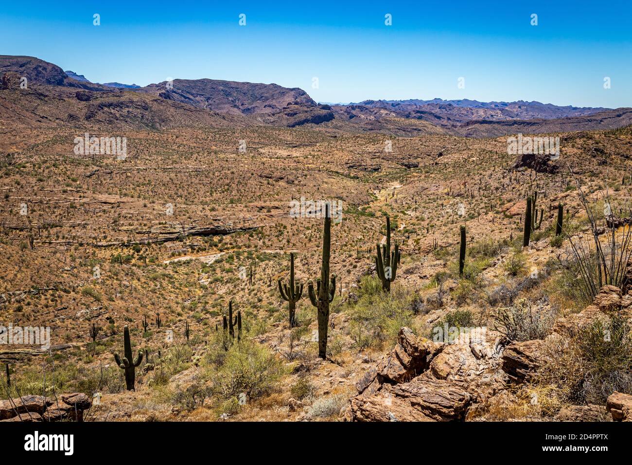Apache Trail Scenic Drive Stock Photo Alamy