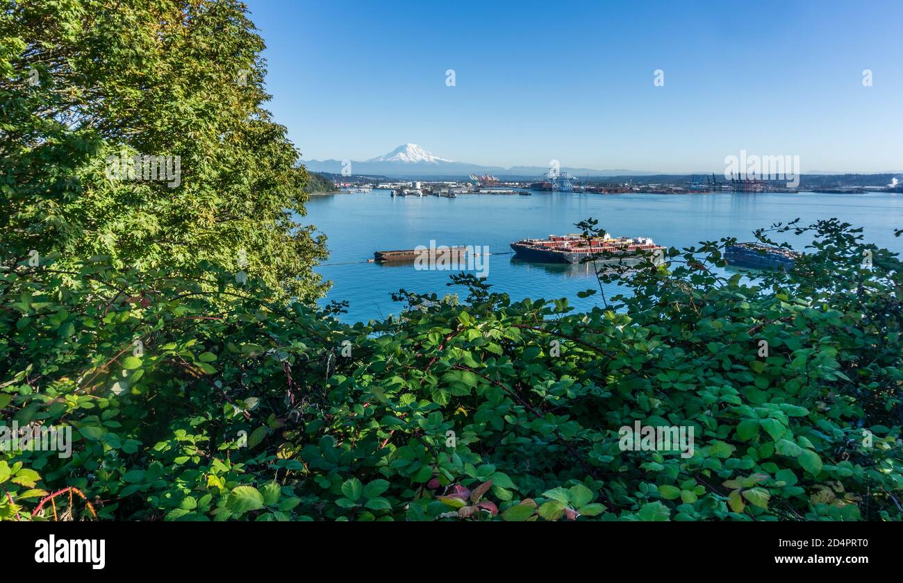 an illustraion of the Port of Tacoma and Mount Rainier Stock Photo - Alamy