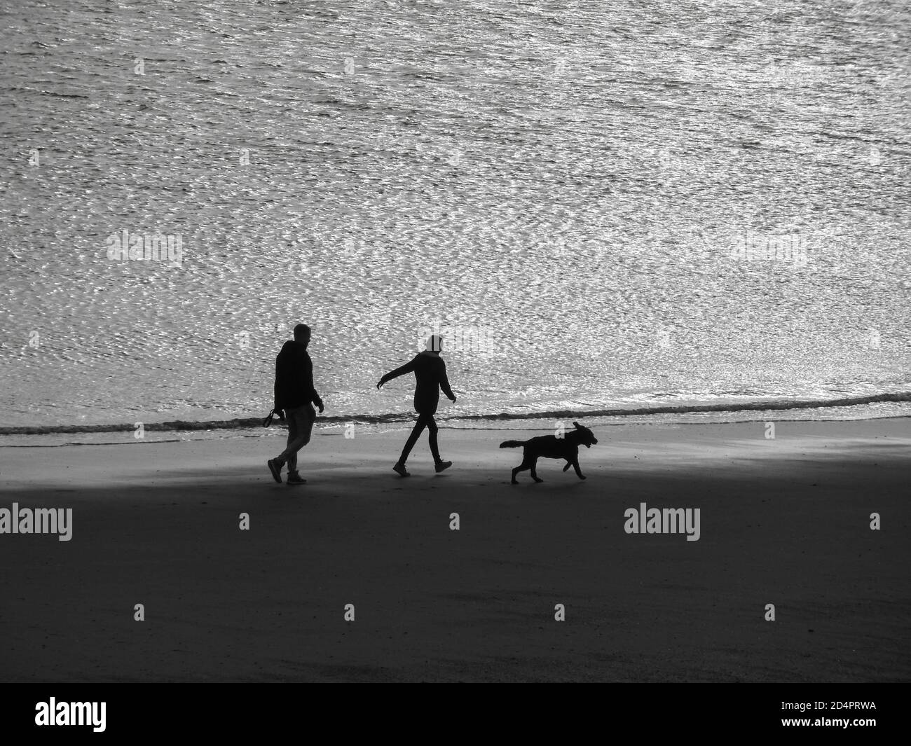 A couple walking on the beach with their dog, in black and white Stock ...