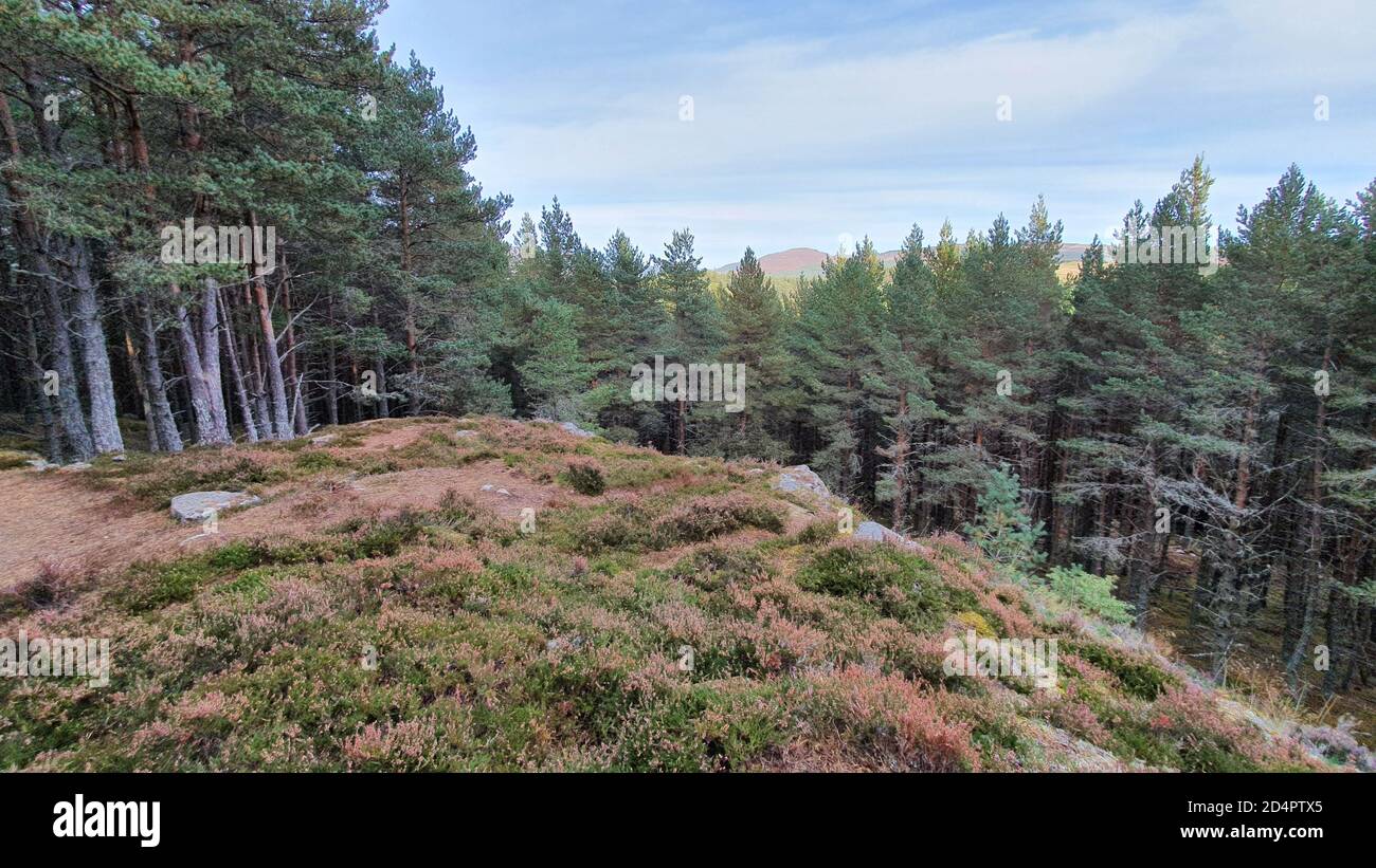 Royal Deeside, Scotland Stock Photo Alamy