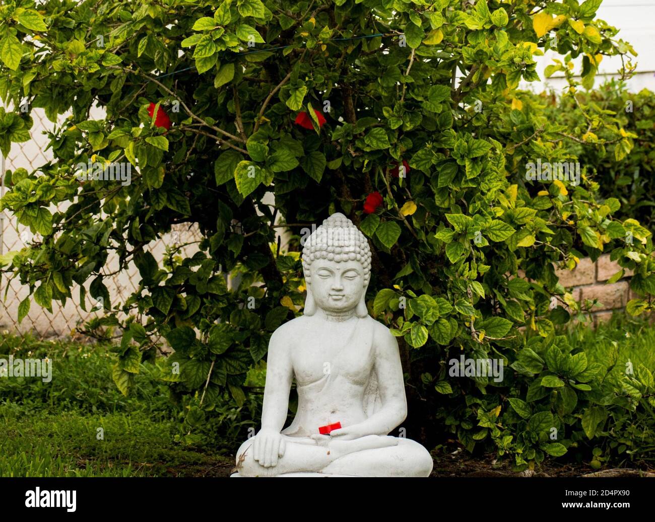 buddha statue in our garden with meditation posture Stock Photo - Alamy