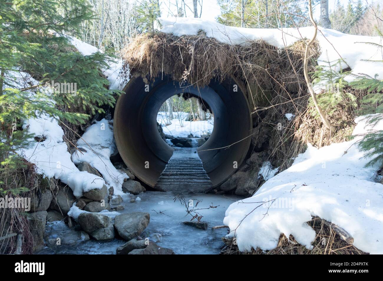 A drainage tunnel for mountain rivers. Through pipe in the ground. Hole