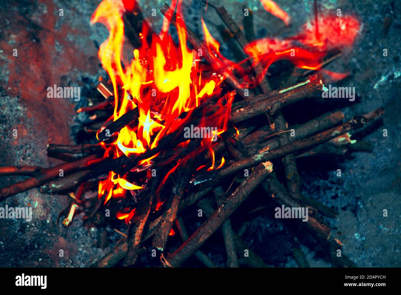 Bivouac fire with dry brushwood Stock Photo