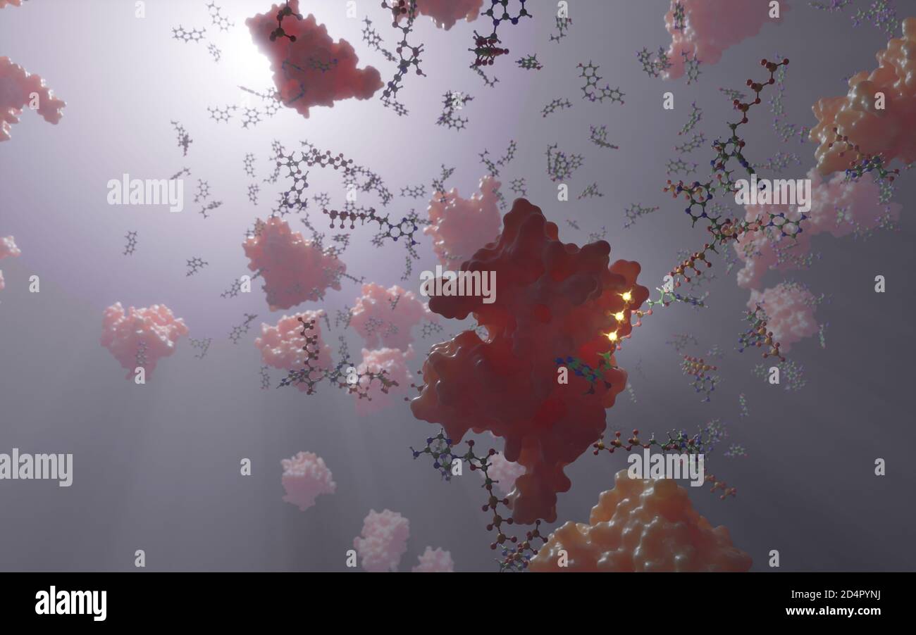 Adenosine triphosphate (ATP) is an organic molecule that provides energy to drive many processes in living cells, by chemical energy transfer. Stock Photo