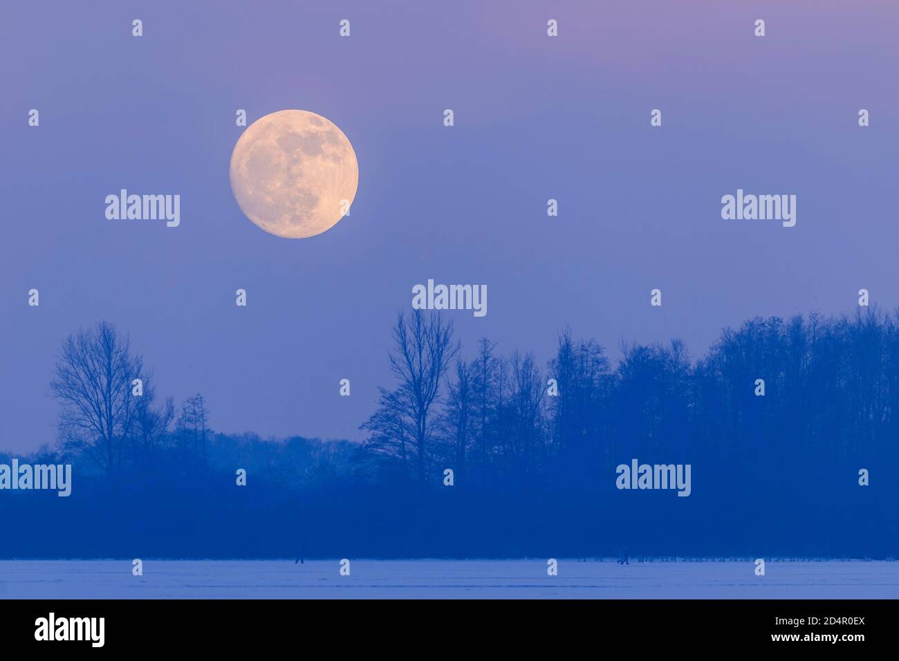 Moonrise over the Dümmer, Oldenburger Münsterland, Dümmerlohhausen, Lower Saxony, Germany, Europe Stock Photo