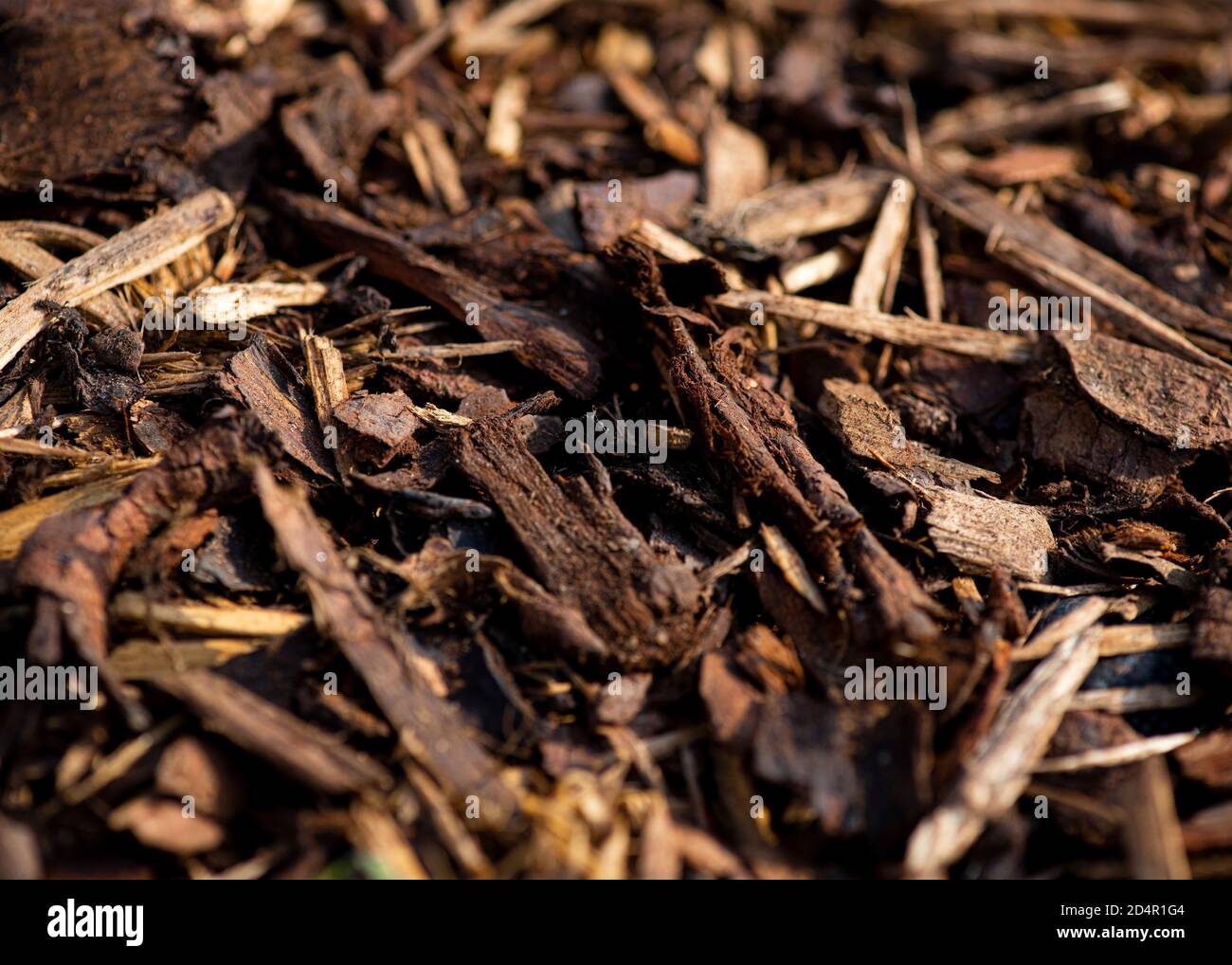 selective focus on bark chipping  used for gardens and allotments for covering and mulch to protect from weeds  background in bokeh Stock Photo