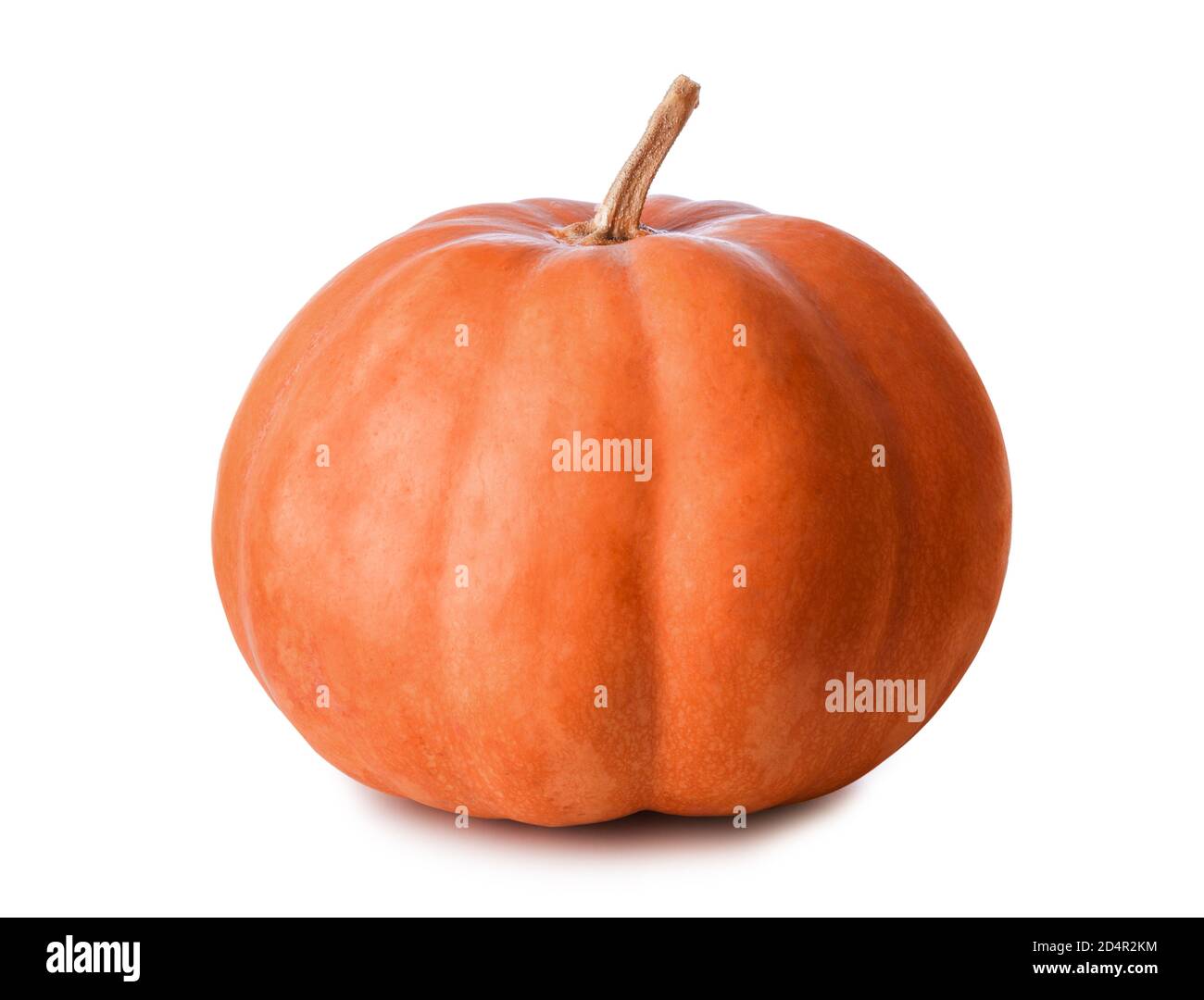 Big orange Pumpkin isolated on white background Stock Photo - Alamy