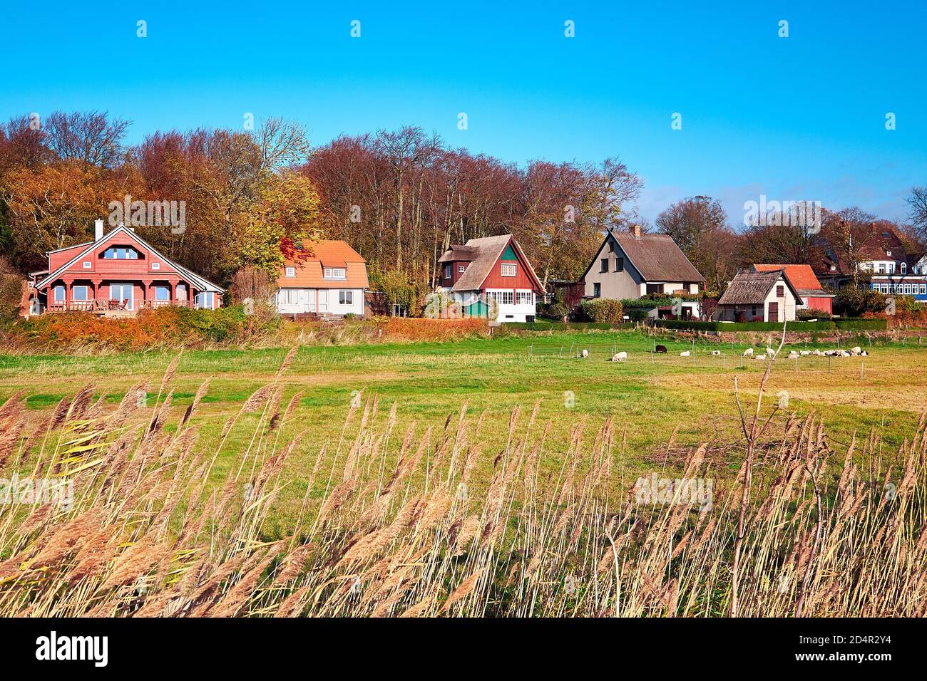 Kloster village on Hiddensee island in North Germany. Traditional houses on a sunny day in Autumn. Stock Photo