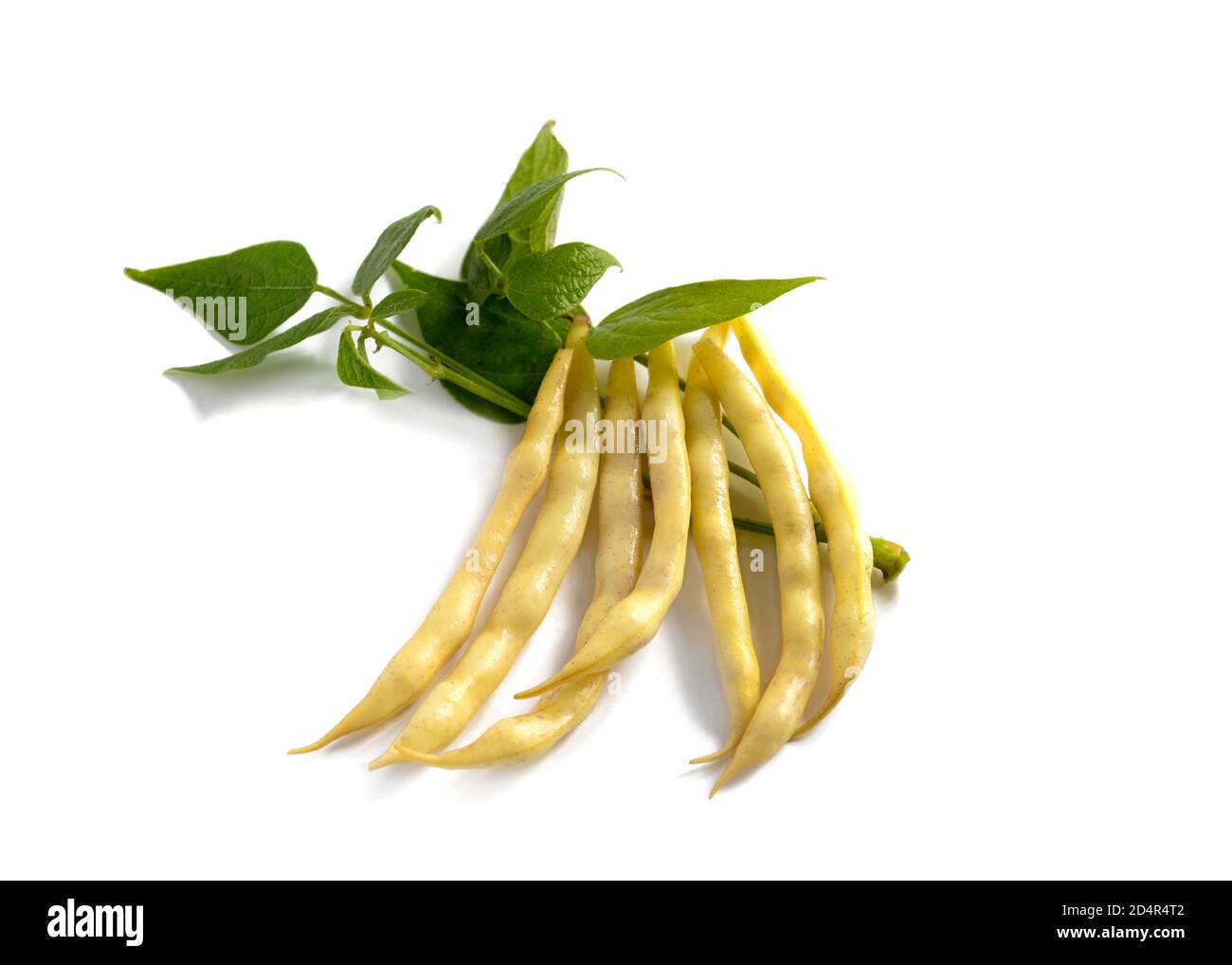 french wax beans isolated on a white background close up with greenery Stock Photo