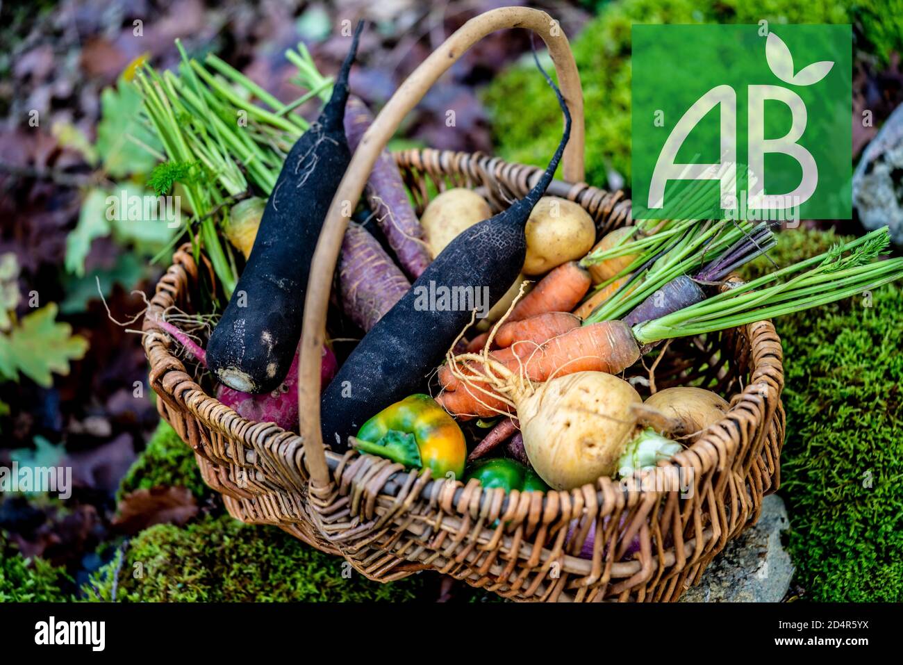 Agriculture Biologique High Resolution Stock Photography And Images Alamy Agriculture Biologique High Resolution Stock Photography And Images Alamy