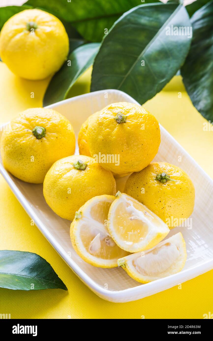 Yuzu ( Citrus Junos Stock Photo Alamy