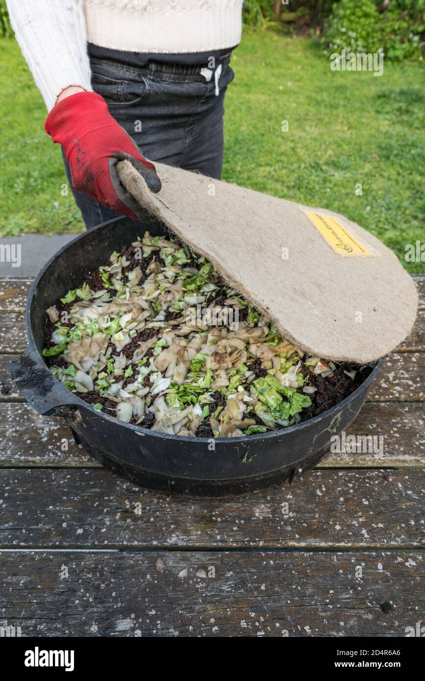 Vegetable peelings in a bin Stock Photo Alamy