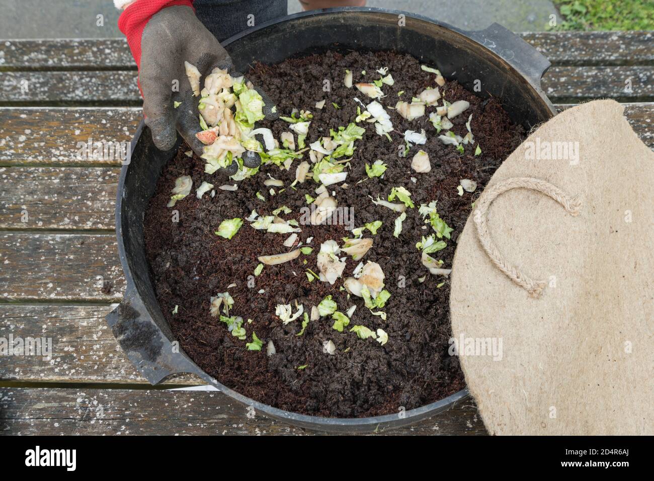 Vegetable peelings in a bin Stock Photo Alamy