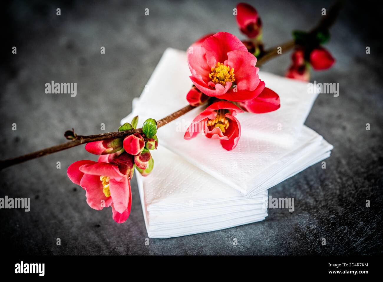 Conceptual image about seasonal allergies. Stock Photo