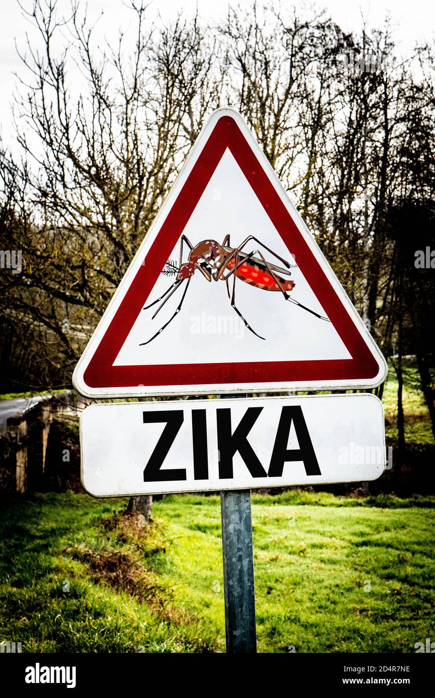 Warning sign, conceptual image on the risks of zika mosquito bites. Stock Photo