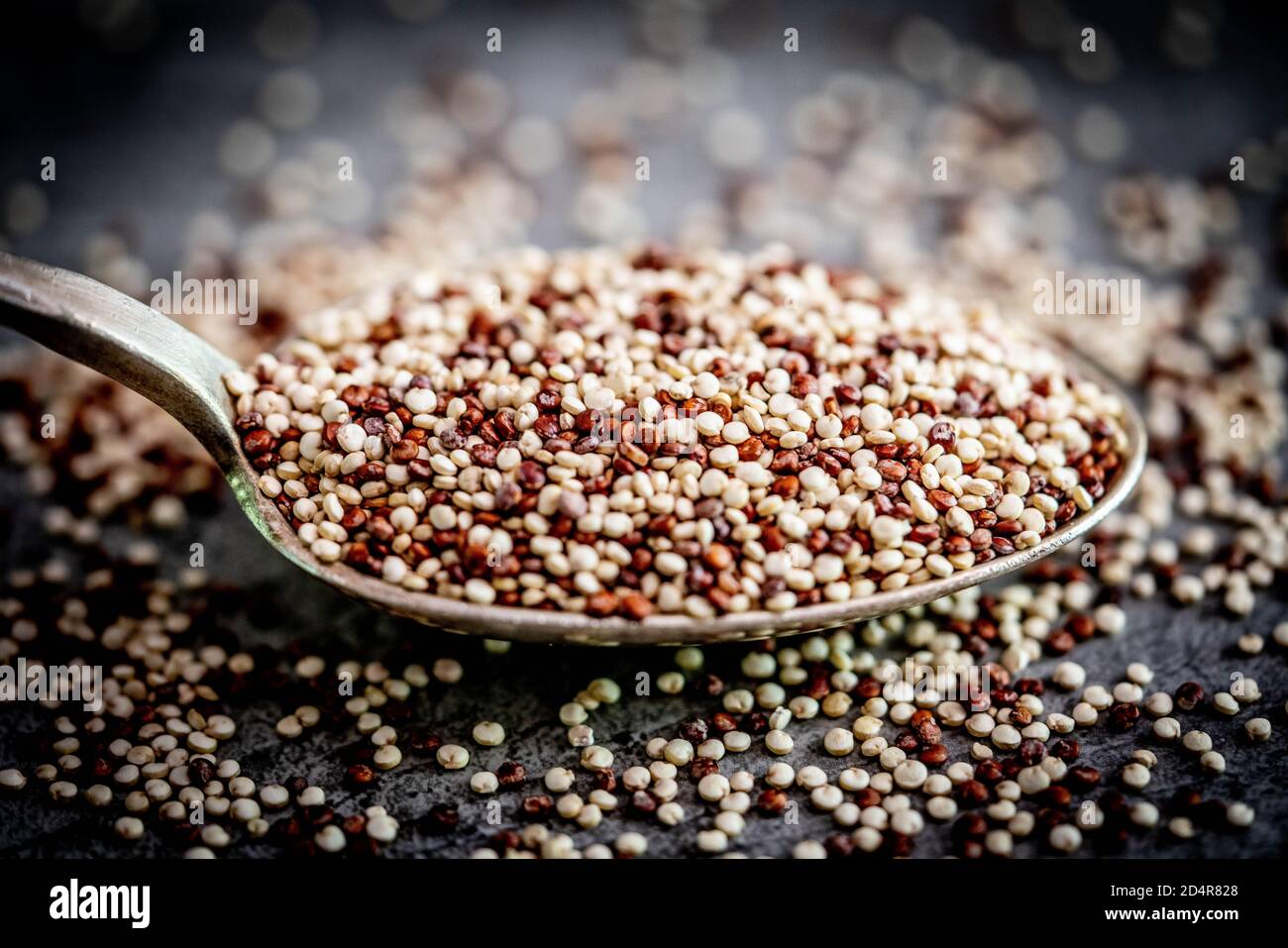 Quinoa. Stock Photo