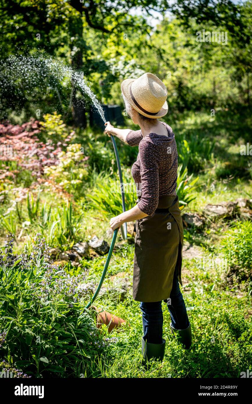 Woman gardening. Stock Photo