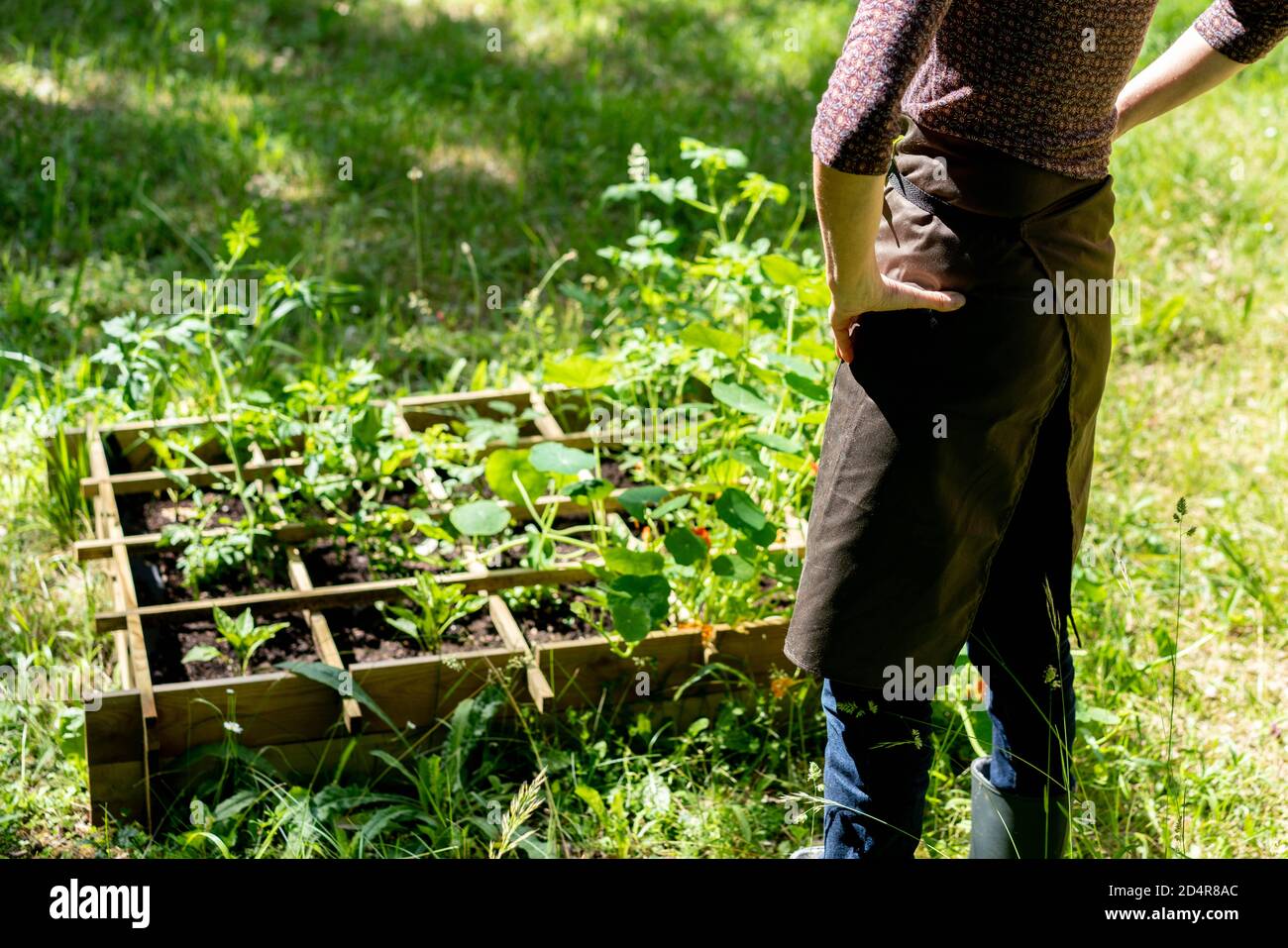 Woman gardening. Stock Photo