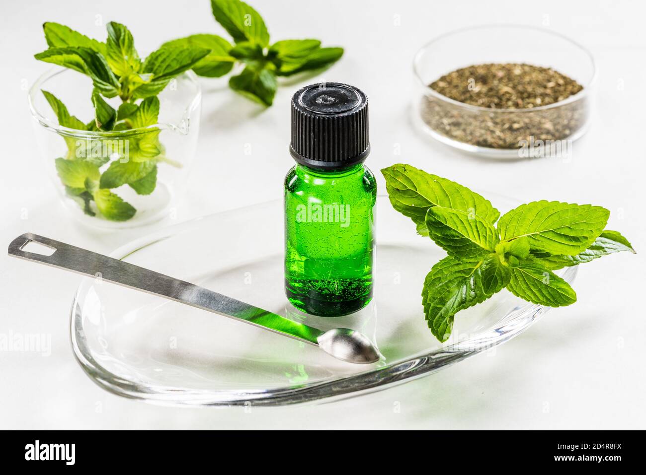 Essential oil of peppermint Stock Photo Alamy