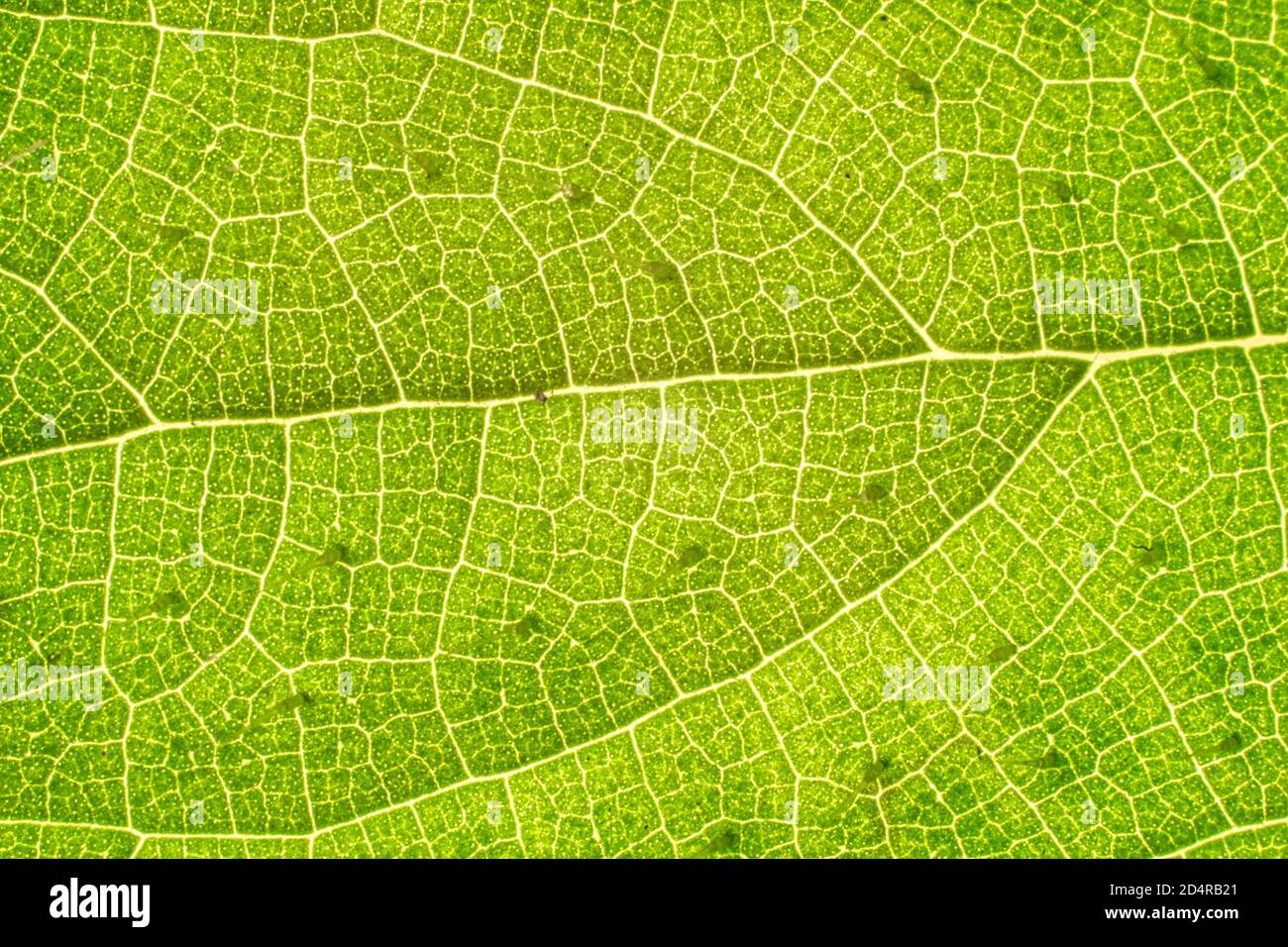 Texture and background for creative art work design for artists Stock ...