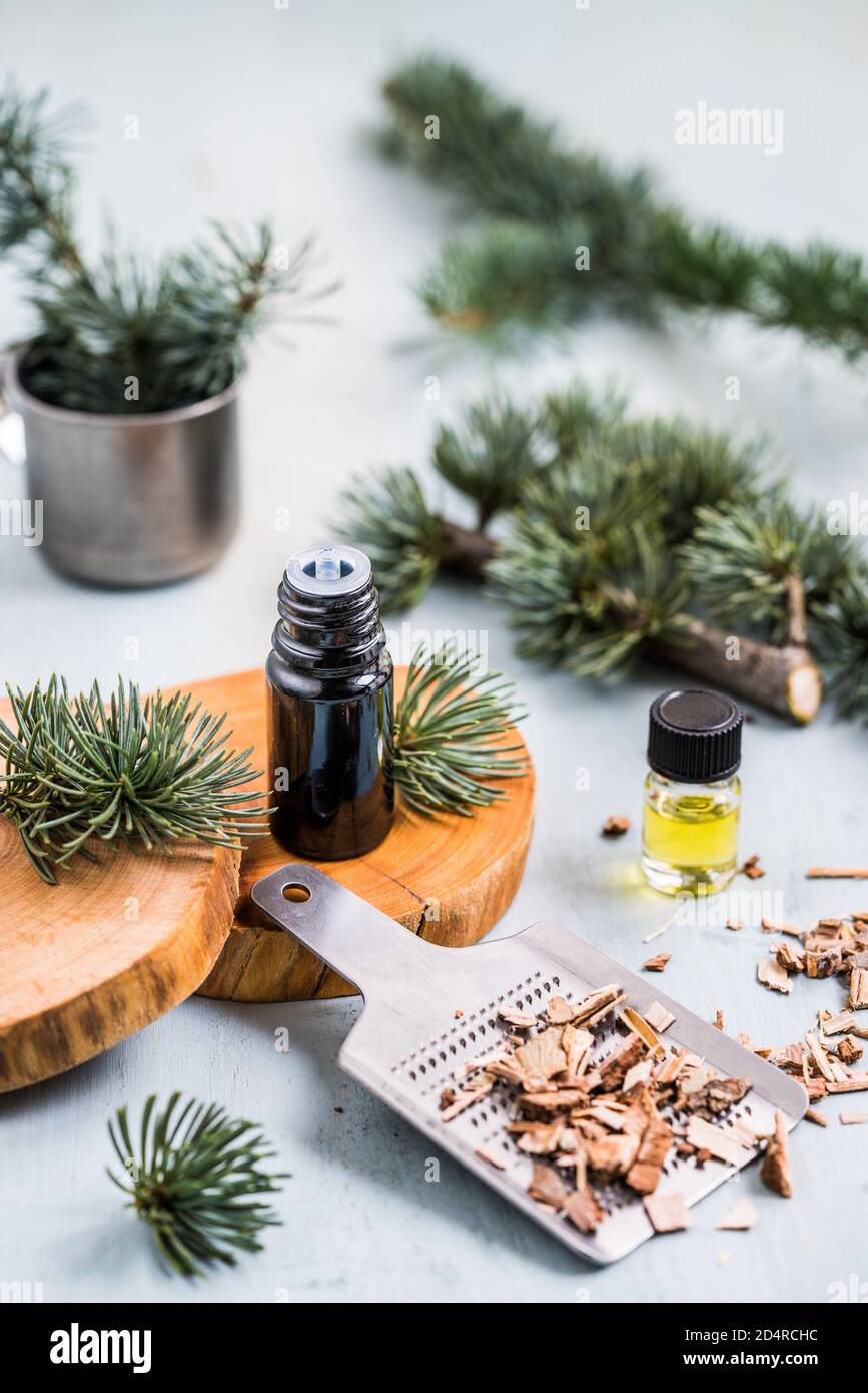 Cedar wood essential oil ( Atlas or Cedrus Atlantica ). Stock Photo