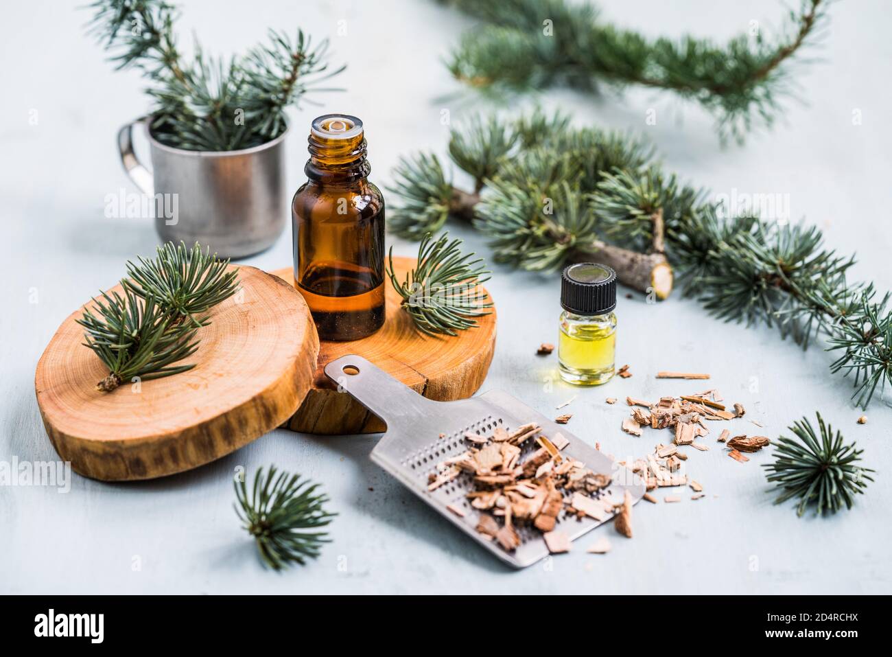 Cedar wood essential oil ( Atlas or Cedrus Atlantica Stock Photo - Alamy