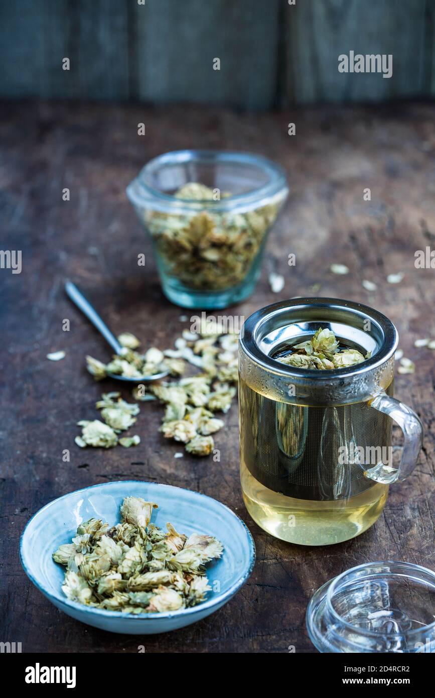 Dried hops (Humulus lupulus) tea, hops are strongly sedative and have anti-bacterial effects; they are used as herbal medicine for insomnia, intestina Stock Photo